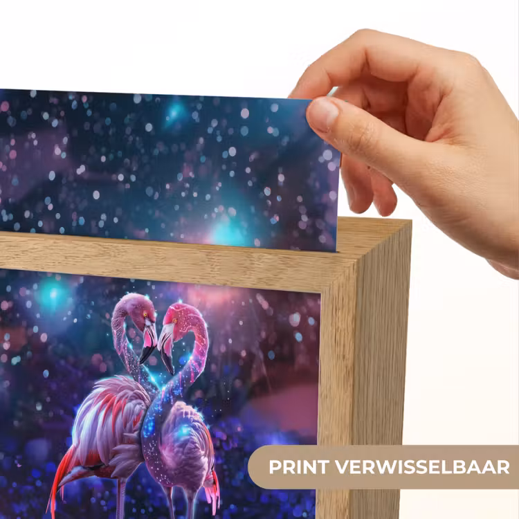 Flamingo's - Dieren - Ruimte - Galaxy Light Box met kabel (Kinderlampje) klein -USP_websiteprintNL