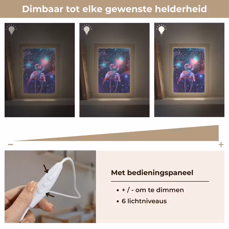 Flamingo's - Dieren - Ruimte - Galaxy Light Box met kabel klein -USP_dimbaarNL