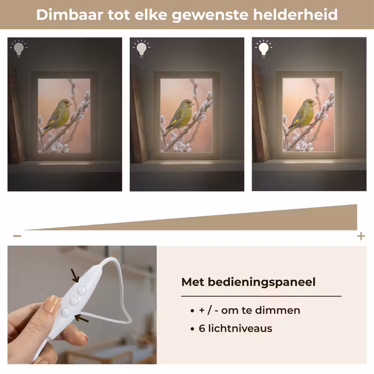 Groenling - Katjes - Lente - Natuur - Zacht Light Box met kabel (Kinderlampje) klein -USP_dimbaarNL