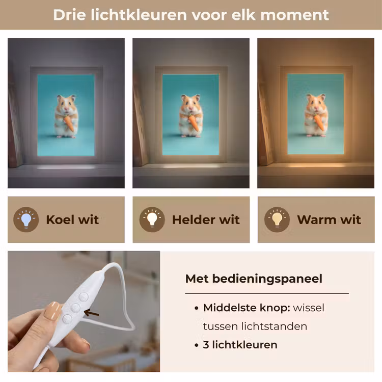 Hamster - Wortel - Blauw Light Box met kabel klein -USP_lichtkleurNL