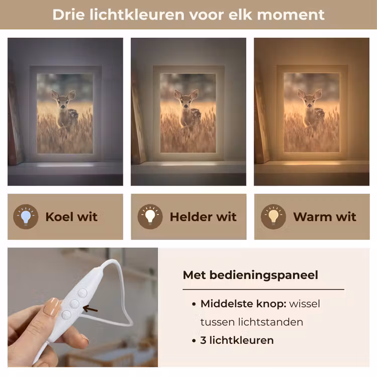 Hert - Graanveld - Bruin Light Box met kabel klein -USP_lichtkleurNL
