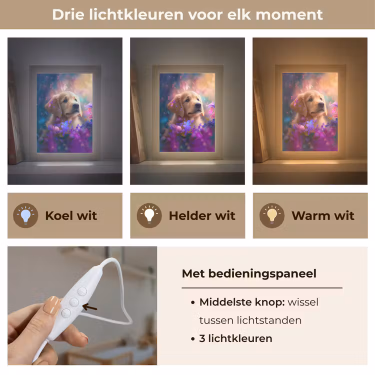 Hond - Puppy - Zon - Bloemen - Golden retriever Light Box met kabel klein -USP_lichtkleurNL