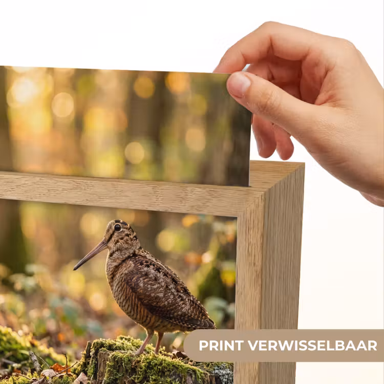 Houtsnip - Bos - Bladeren - Herfst - Gecamoufleerd Light Box met kabel (Kinderlampje) klein -USP_websiteprintNL