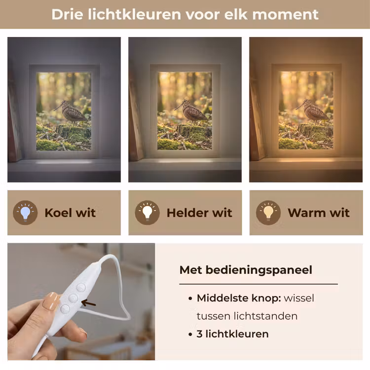Houtsnip - Bos - Bladeren - Herfst - Gecamoufleerd Light Box met kabel (Kinderlampje) klein -USP_lichtkleurNL