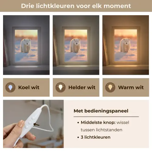 Ijsbeer - Sneeuw - Zonsopgang Light Box met kabel klein -USP_lichtkleurNL