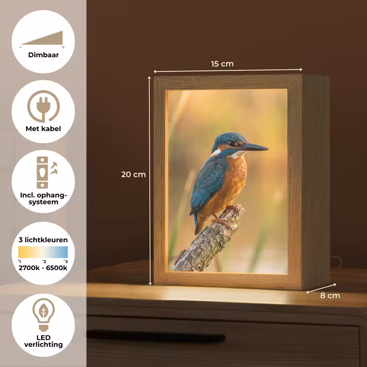 IJsvogel - Tak - Water - Kleurrijk - Levendig Light Box met kabel (Kinderlampje) klein -USP_NL