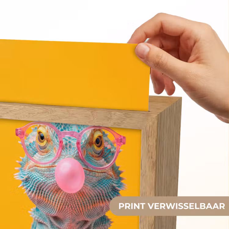 Kameleon - Kauwgom - Kleurrijk Light Box met kabel (Kinderlampje) klein -USP_websiteprintNL