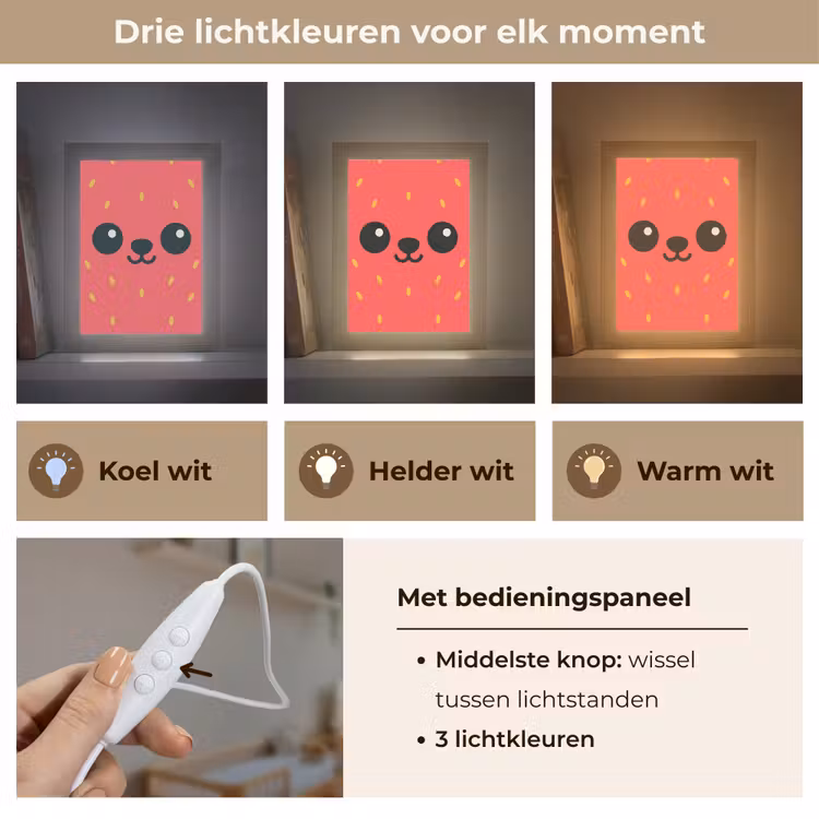 Kat - Aardbei - Cartoon Light Box met kabel klein -USP_lichtkleurNL
