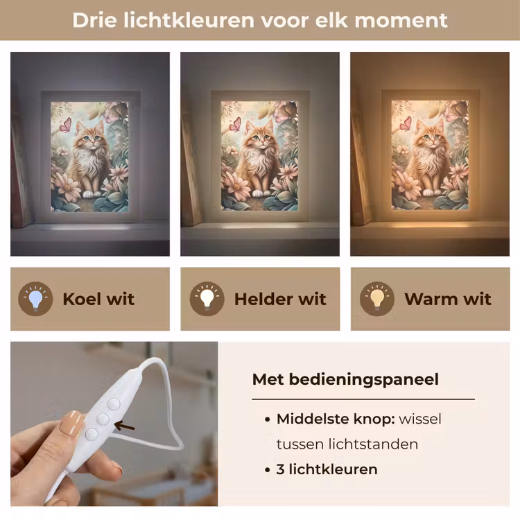 Kat - Bloemen - Vlinders - Roze Light Box met kabel klein -USP_lichtkleurNL