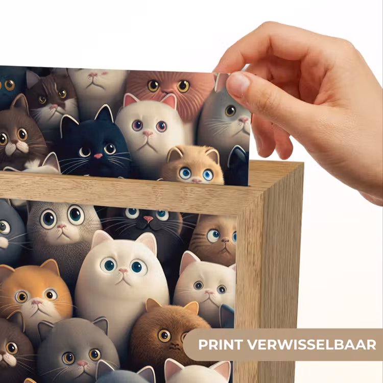 Katten - Dieren - Poes - Design - Meiden - Jongens Light Box met kabel (Kinderlampje) klein -USP_websiteprintNL
