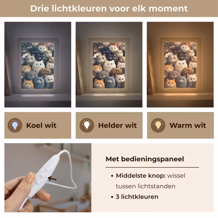 Katten - Dieren - Poes - Design - Meiden - Jongens Light Box met kabel klein -USP_lichtkleurNL