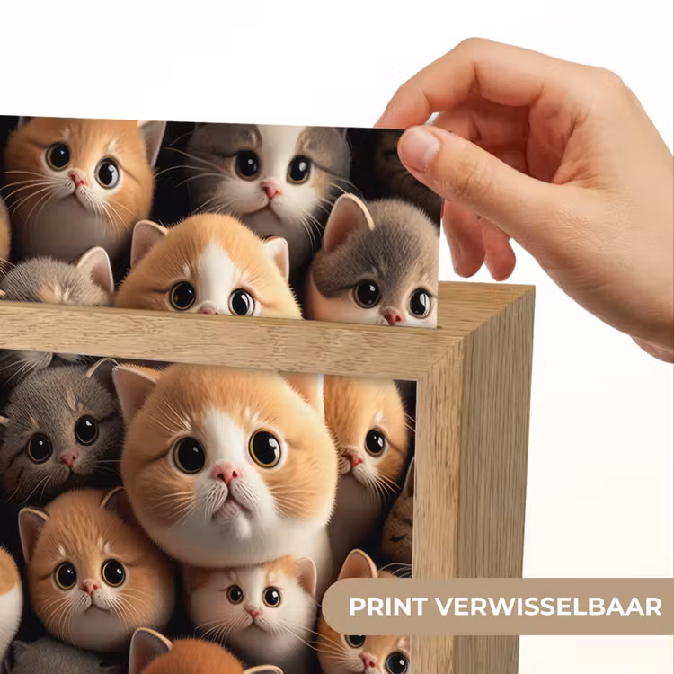 Katten - Huisdieren - Kitten - Design - Jongens - Meisjes Light Box met kabel (Kinderlampje) klein -USP_websiteprintNL