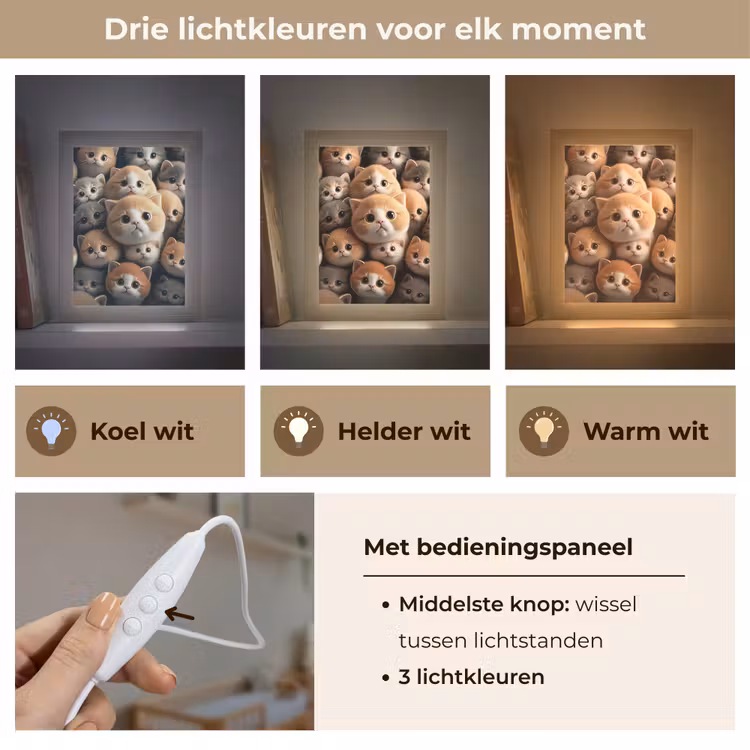 Katten - Huisdieren - Kitten - Design - Jongens - Meisjes Light Box met kabel klein -USP_lichtkleurNL