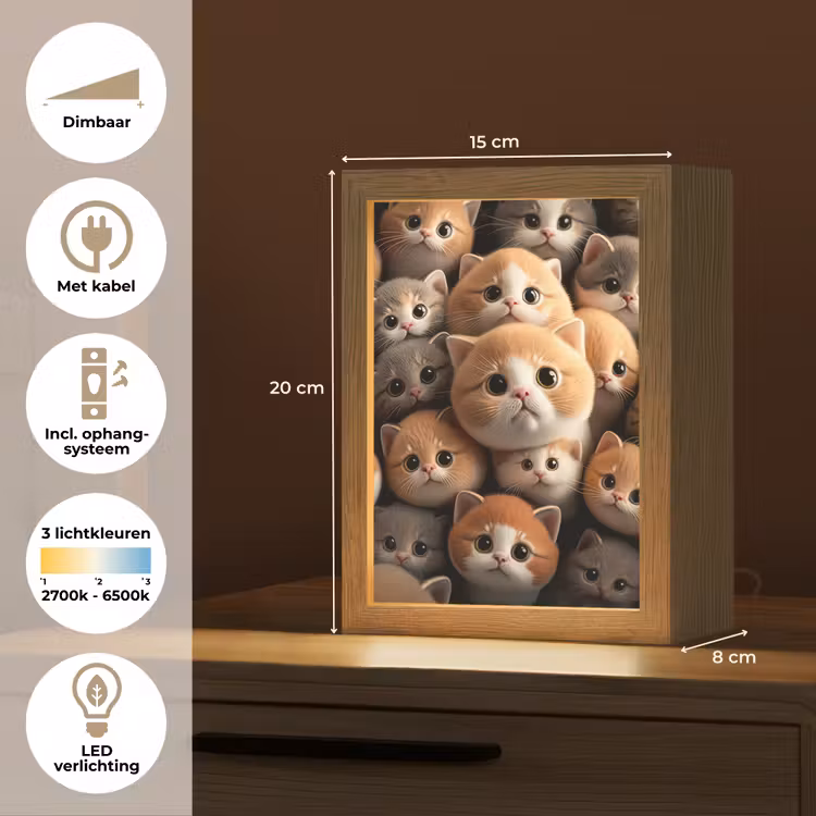 Katten - Huisdieren - Kitten - Design - Jongens - Meisjes Light Box met kabel klein -USP_NL