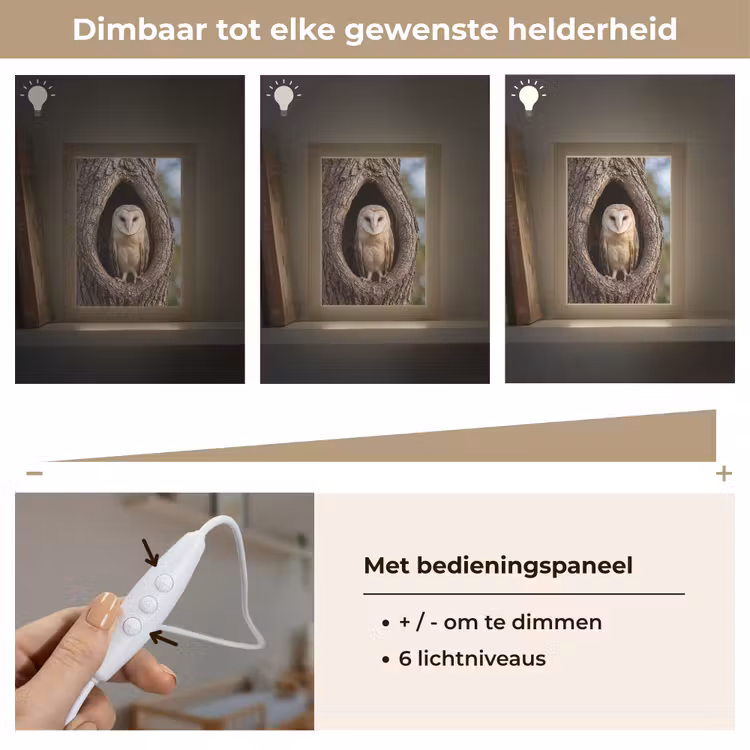 Kerkuil - Boom - Natuur - Bruin Light Box met kabel (Kinderlampje) klein -USP_dimbaarNL