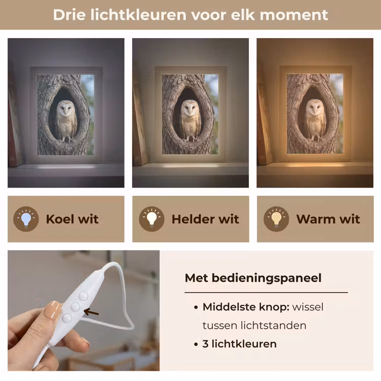 Kerkuil - Boom - Natuur - Bruin Light Box met kabel (Kinderlampje) klein -USP_lichtkleurNL