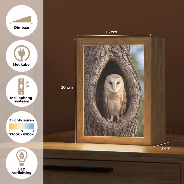 Kerkuil - Boom - Natuur - Bruin Light Box met kabel (Kinderlampje) klein -USP_NL