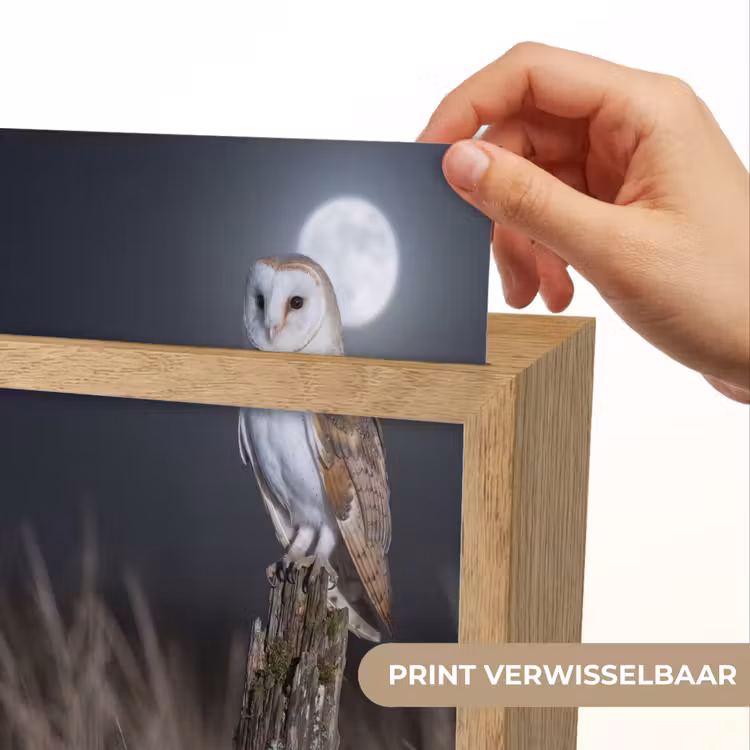 Kerkuil - Maan - Nacht Light Box met kabel (Kinderlampje) klein -USP_websiteprintNL