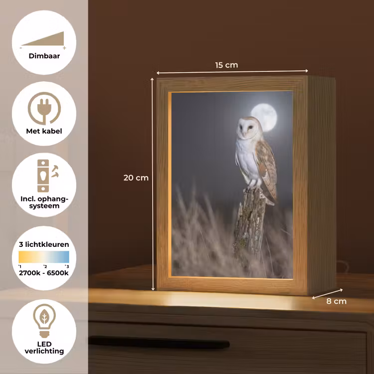 Kerkuil - Maan - Nacht Light Box met kabel (Kinderlampje) klein -USP_NL