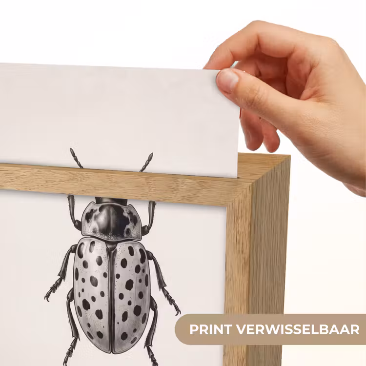 Kever - Insect - Vintage Light Box met kabel (Kinderlampje) klein -USP_websiteprintNL