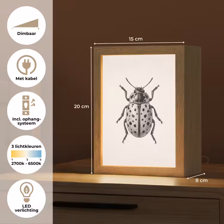 Kever - Insect - Vintage Light Box met kabel (Kinderlampje) klein -USP_NL