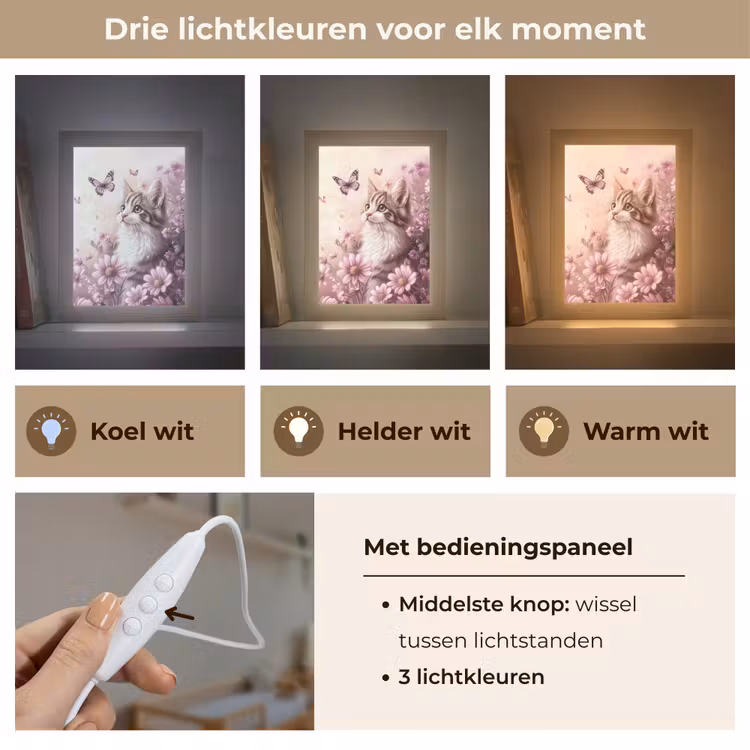 Kitten - Bloemen - Vlinders - Paars Light Box met kabel klein -USP_lichtkleurNL