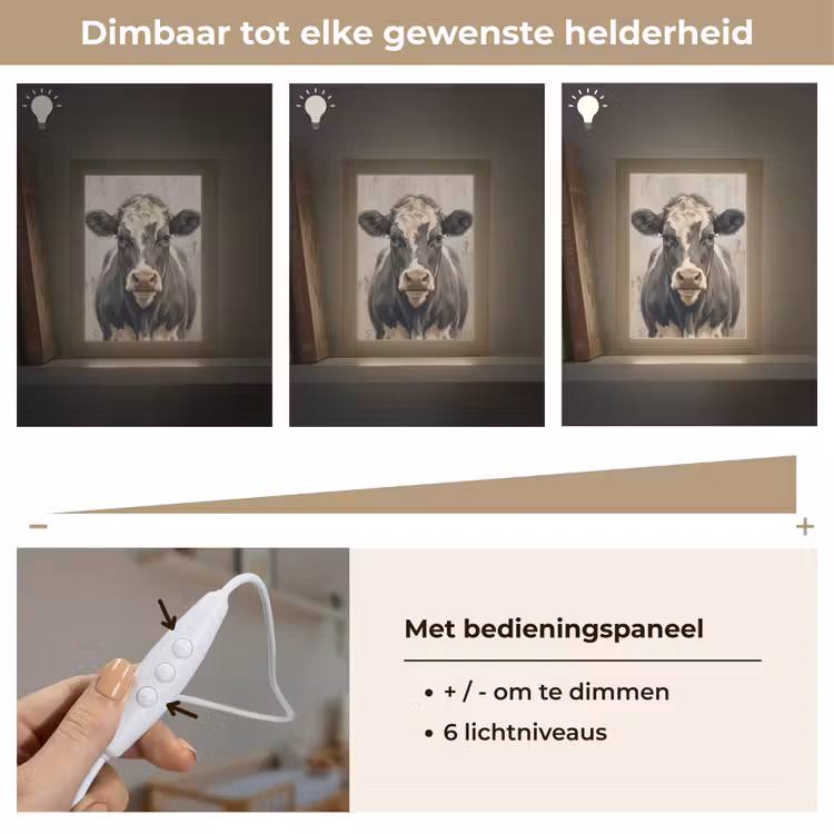 Koe - Portret - Dieren - Modern Light Box met kabel (Kinderlampje) klein -USP_dimbaarNL