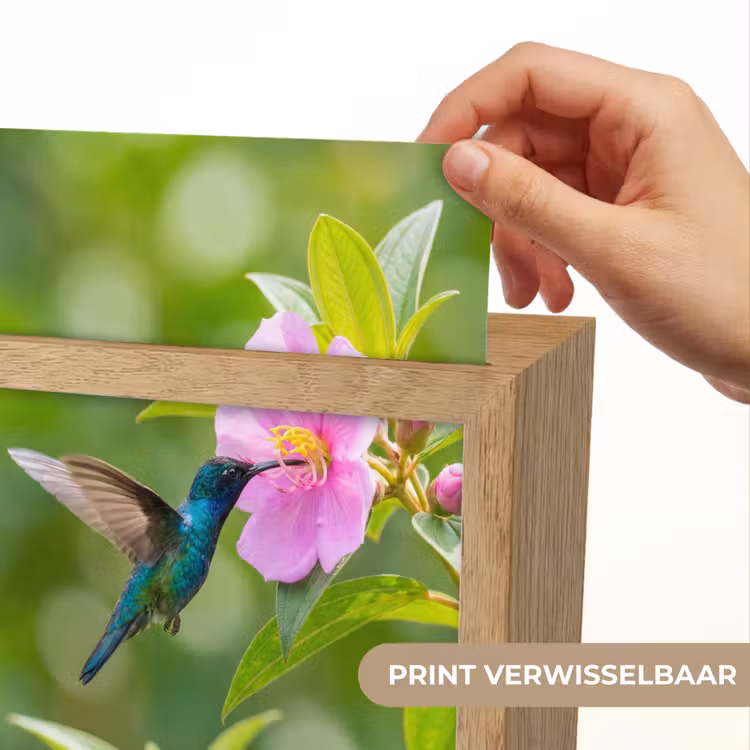 Kolibrie - Bloem - Natuur - Groen Light Box met kabel (Kinderlampje) klein -USP_websiteprintNL