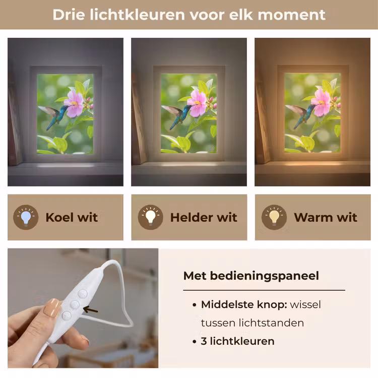 Kolibrie - Bloem - Natuur - Groen Light Box met kabel (Kinderlampje) klein -USP_lichtkleurNL