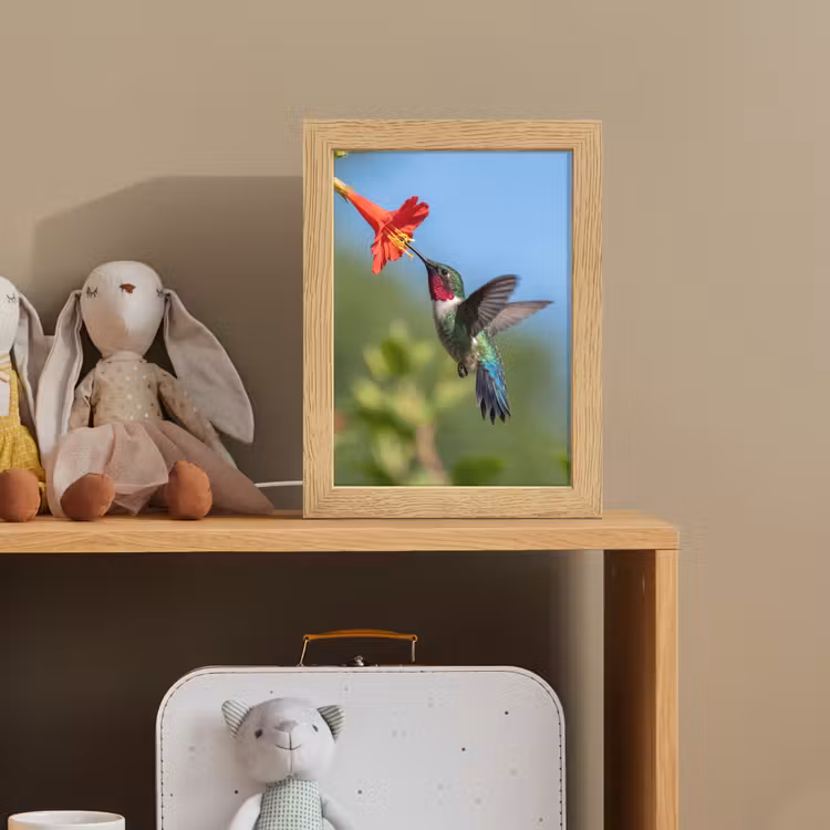 Kolibrie - Bloem - Natuur - Groen Light Box met kabel (Kinderlampje) klein -sfeer2_kind