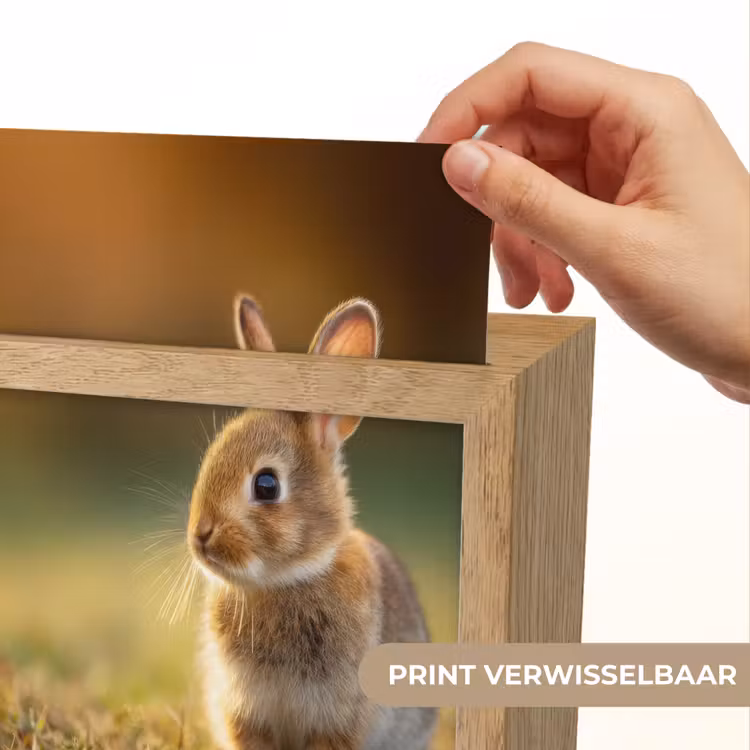 Konijntje - Bruin - Gras Light Box met kabel (Kinderlampje) klein -USP_websiteprintNL