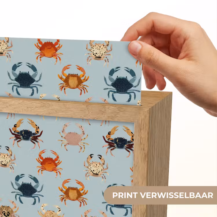 Krabben - Speels - Kleurrijk Light Box met kabel (Kinderlampje) klein 904 -USP_websiteprintNL