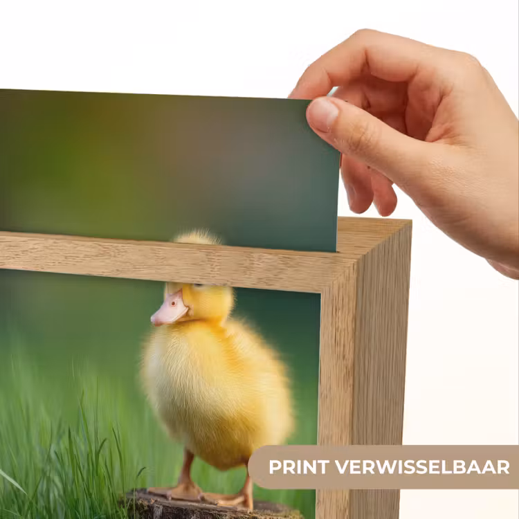 Kuiken - Eend - Geel - Gras Light Box met kabel (Kinderlampje) klein -USP_websiteprintNL