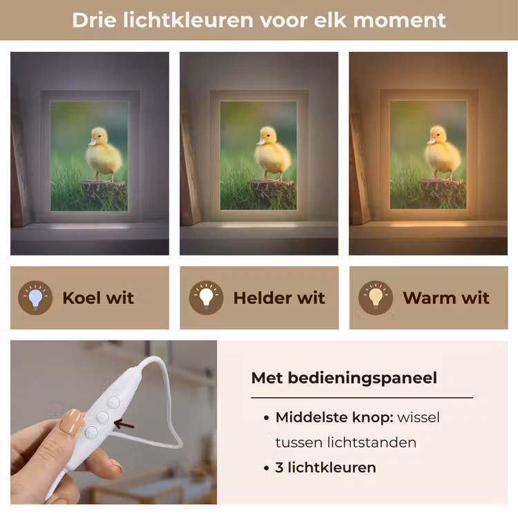 Kuiken - Eend - Geel - Gras Light Box met kabel klein -USP_lichtkleurNL