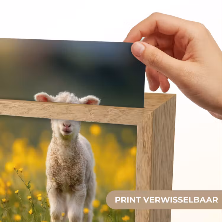 Lammetje - Gras - Bloemen - Geel Light Box met kabel (Kinderlampje) klein -USP_websiteprintNL