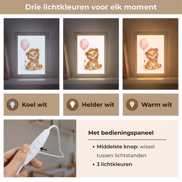 Leeuw - Baby dier - Dieren - Roze ballon Light Box met kabel klein -USP_lichtkleurNL