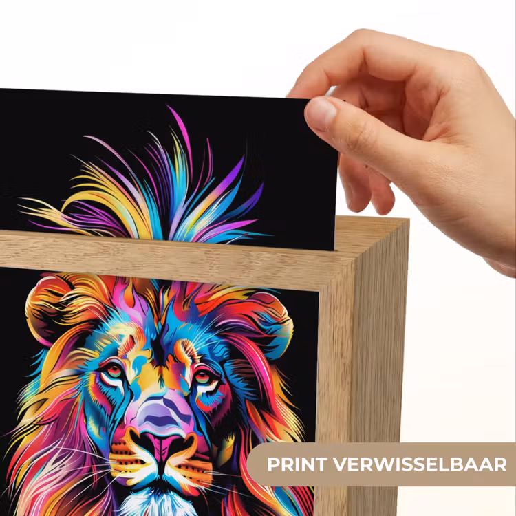Leeuwen - Kleurrijk - Zwart - Dieren Light Box met kabel (Kinderlampje) klein -USP_websiteprintNL
