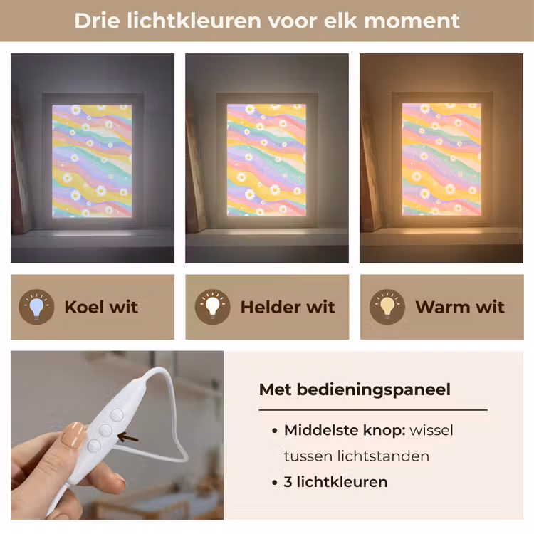 Madeliefjes - Kleurrijk - Pastel Light Box met kabel klein -USP_lichtkleurNL