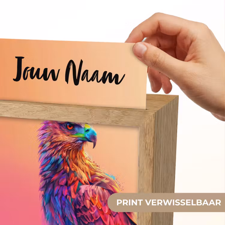 Arend - Vogel - Kleurrijk - Dier Light Box met kabel (Kinderlampje) klein -USP_websiteprintNL