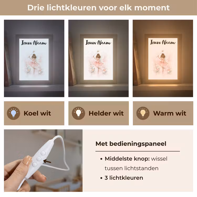 Ballerina - Fee - Bloemen - Roze Light Box met kabel (Kinderlampje) klein -USP_lichtkleurNL