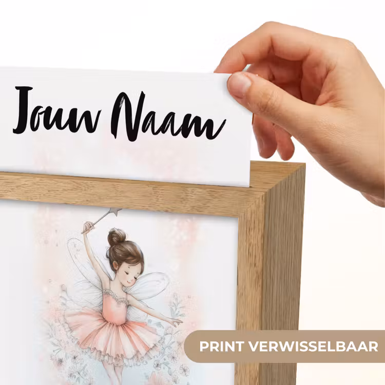 Ballerina - Fee - Roze Light Box met kabel (Kinderlampje) klein -USP_websiteprintNL