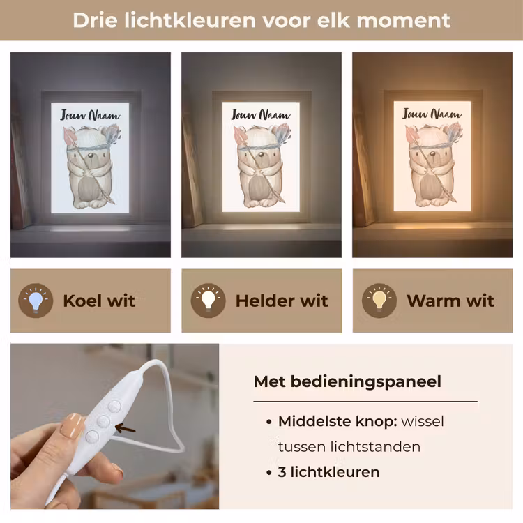 Beer - Dier - Bosdieren Light Box met kabel (Kinderlampje) klein -USP_lichtkleurNL