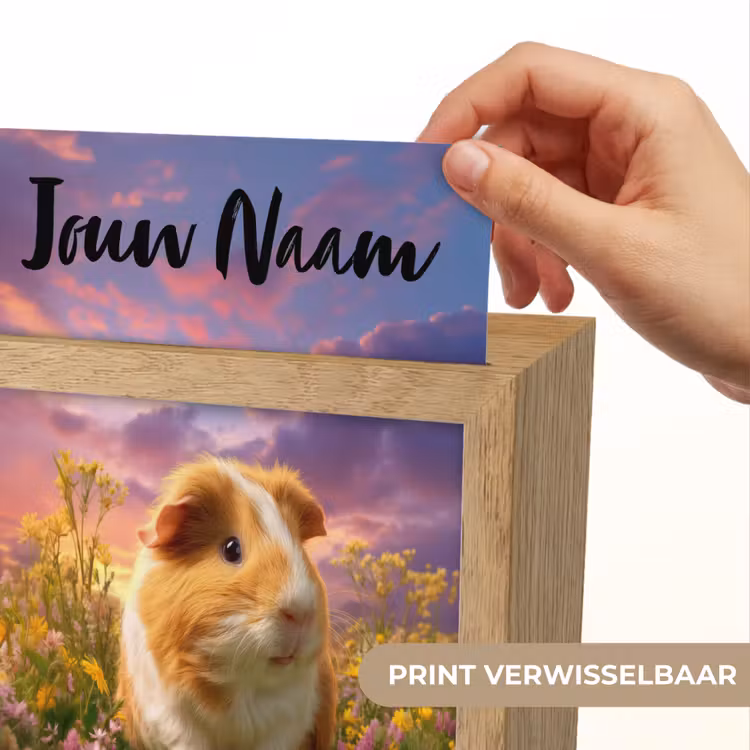 Cavia - Kleurrijk - Bloemen Light Box met kabel (Kinderlampje) klein -USP_websiteprintNL