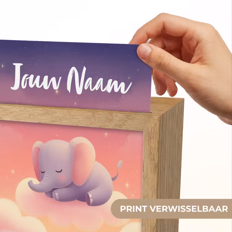 Dier - Roze - Wolken Light Box met kabel (Kinderlampje) klein -USP_websiteprintNL