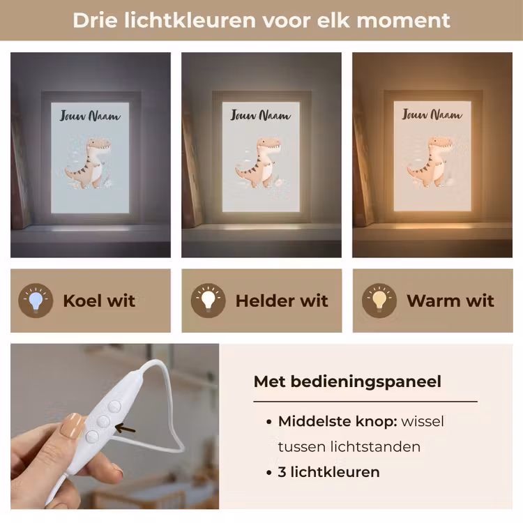 Dino - Blauw - Bloemen Light Box met kabel (Kinderlampje) klein -USP_lichtkleurNL