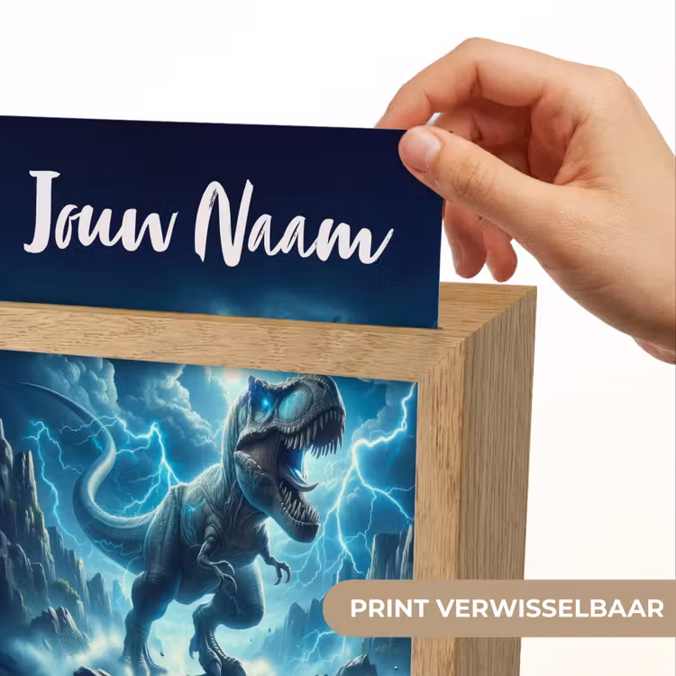 Dino - Blauw - Jongens Light Box met kabel (Kinderlampje) klein -USP_websiteprintNL
