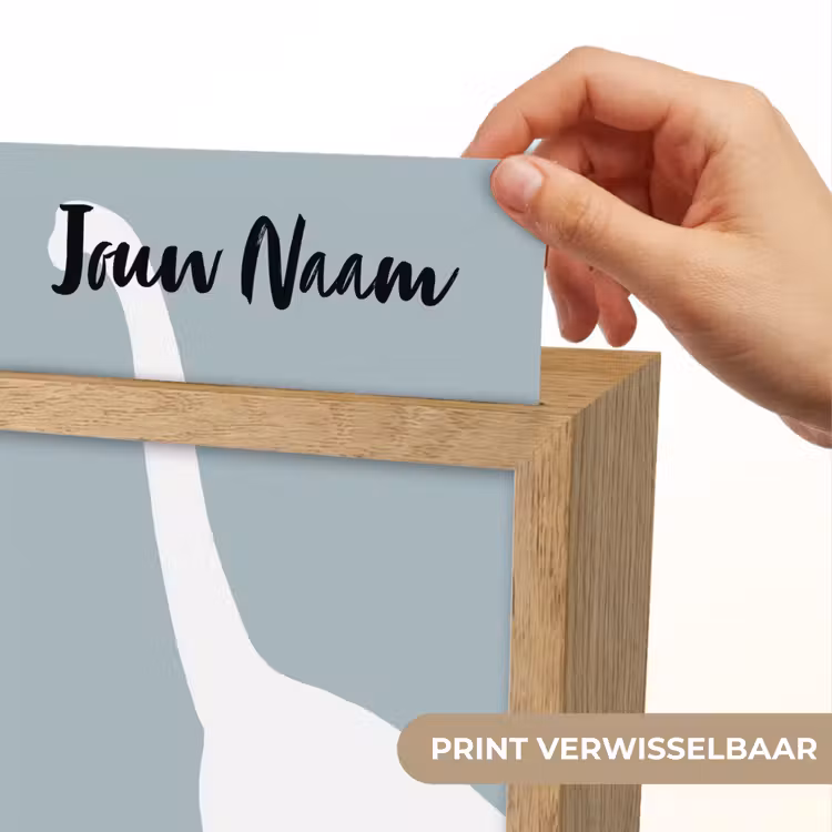 Dino - Brachiosaurus - Dinosaurus - Blauw Light Box met kabel (Kinderlampje) klein -USP_websiteprintNL