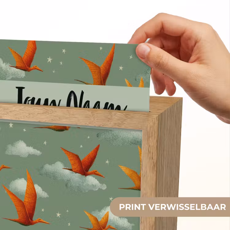 Dino - Oranje - Patroon - Wolken Light Box met kabel (Kinderlampje) klein -USP_websiteprintNL