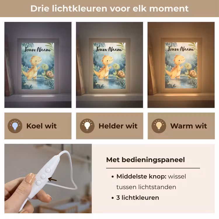 Dino - Schildpad - Jungle Light Box met kabel (Kinderlampje) klein -USP_lichtkleurNL
