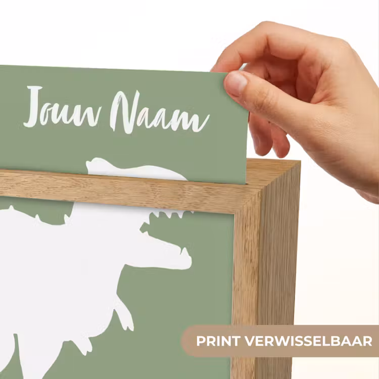 Dino - T-rex - Dinosaurus - Groen - Tyrannosaurus rex Light Box met kabel (Kinderlampje) klein -USP_websiteprintNL